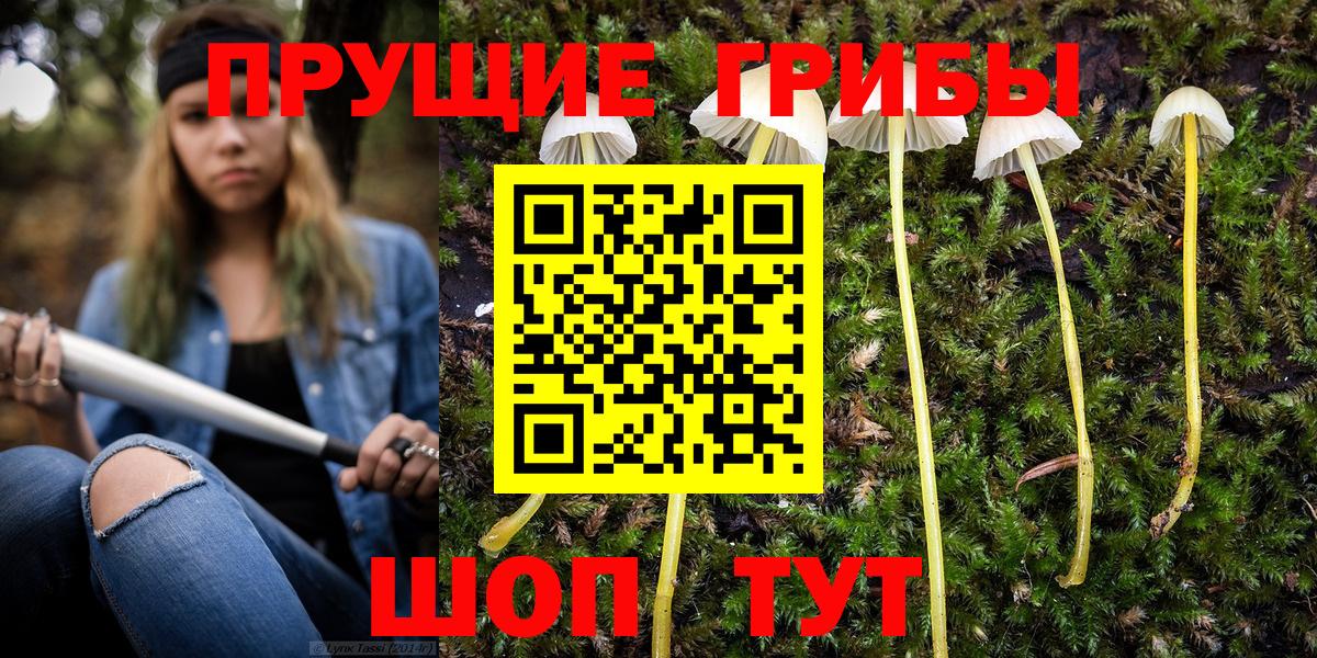 Псилоцибиновые грибы MAGIC MUSHROOMS Гагарин