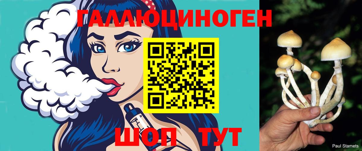 Галлюциногенные грибы MAGIC MUSHROOMS  Вход с VPN  Гагарин 